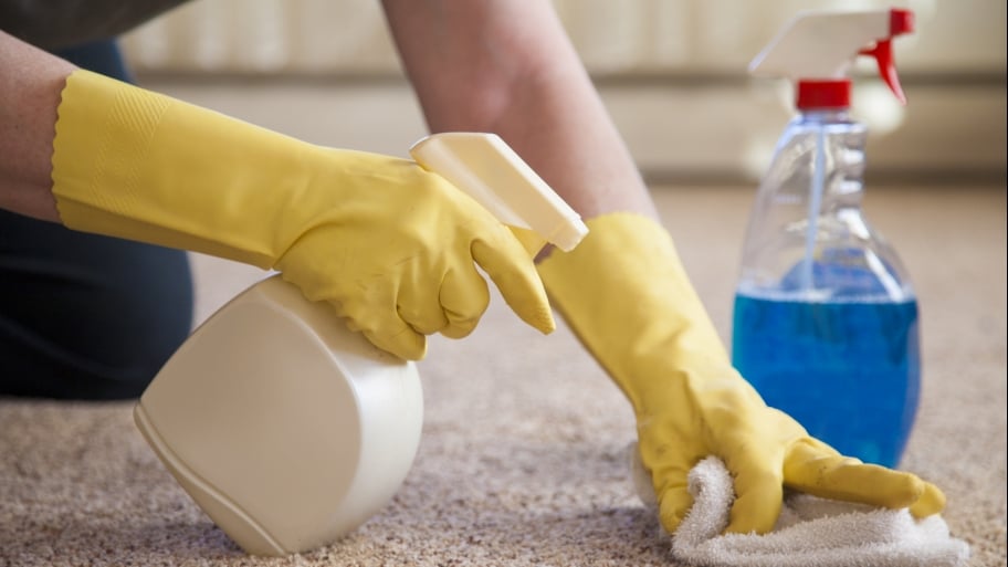 person using a spray cleaning solution on a carpet